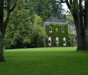 North Lawn Towards House